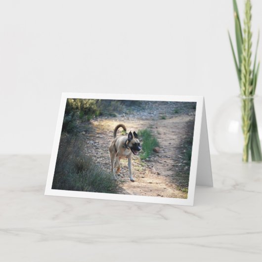 Hond Rennend en Springend Kaart (Voorkant)