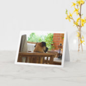 Hond rust in stoel Portret Kaart (Gele Bloem)