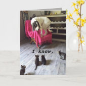 HOND SCARDY KAART (Gele Bloem)