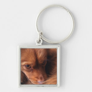 hond sleutelhanger