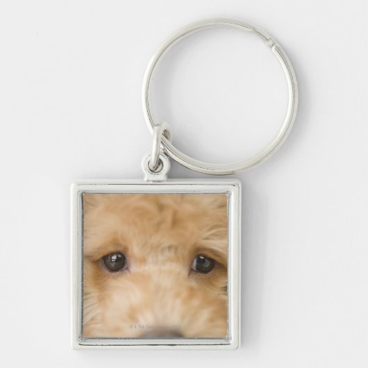 Hond Sleutelhanger (Voorkant)