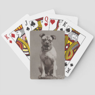 hond speelkaarten