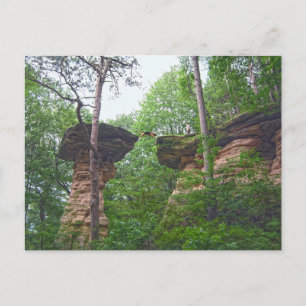 Hond springt van Stand Rock in Wisconsin Dells Briefkaart