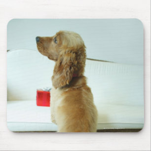 Hond staat op een bank met een cadeau muismat