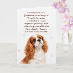 Hond Sympathie Cocker Spaniel Spiritueel Gedicht Kaart
