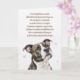 Hond Sympathie Pitbull Pitty Verlies Spiritueel Kaart
