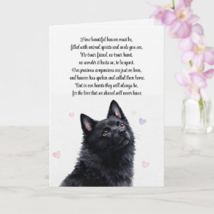 Hond Sympathie Schipperke Verlies Spiritueel Kaart