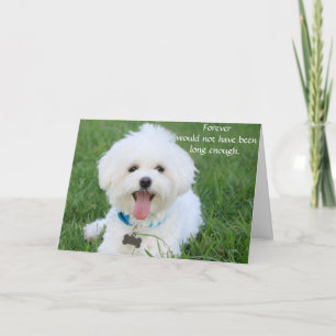 Hond sympathiekaart voor overlijden met foto kaart