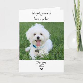 Hond sympathiekaart voor overlijden met foto kaart