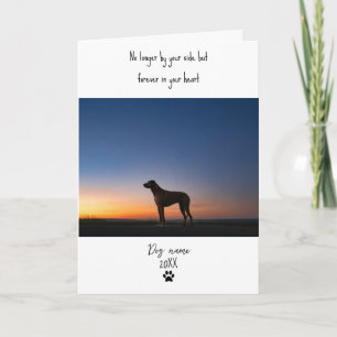 Hond sympathiekaart voor overlijden met foto kaart