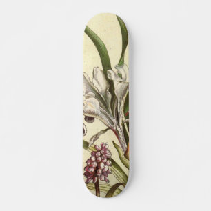 Hond Tand Violet Skateboard