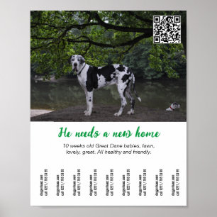 Hond te koop poster sjabloon