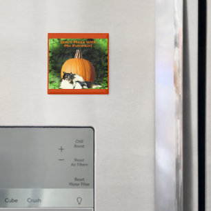 Hond ter bescherming van grote pompoenmagneten magneet