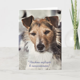 Hond Tsjechische Verjaardagskaart Kaart