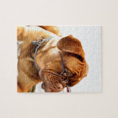 hond van de bordeaux met bril legpuzzel (Horizontaal)
