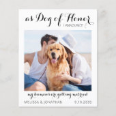 Hond van eerlijkheid en budget bewaren het Briefka (Voorkant)