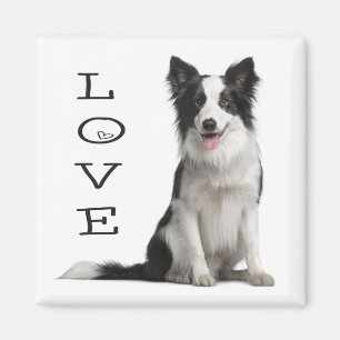 Hond van het Puppy van Border collie van de liefde Magneet
