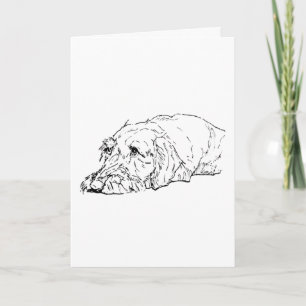 Hond Verjaardag, Ruwharige Dachshund - Schattig Kaart