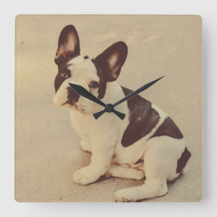 Hond Vierkante Klok