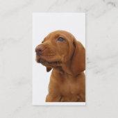 Hond Visitekaartje (Achterkant)