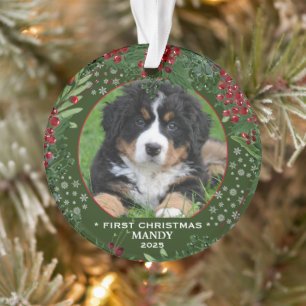 Hond voor de eerste Kerstmis: een mooie sneeuwvlok Ornament