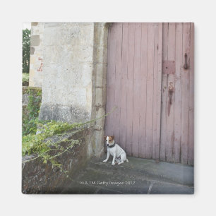 Hond voor gesloten deuren magneet