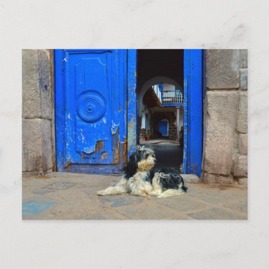 Hond wacht voor de blauwe deur, Cusco, Peru Briefkaart (Voorkant)