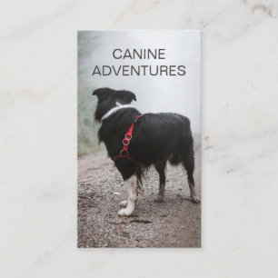 Hond Walker Hond wandelingen en huisdier zorg Visitekaartje