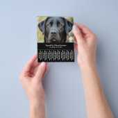 Hond Walker Pet Sitter Foto Scheur Off Strips Flye Flyer (Hand)