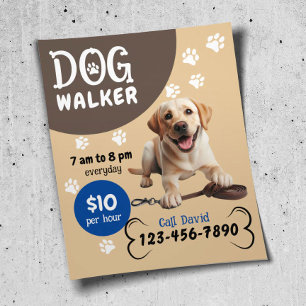 Hond Walker Pet Sitting Happy Labrador Retrieve Ho Flyer