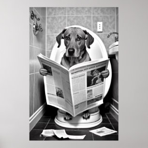 Hond Zittend op het toilet Een krant lezen Poster
