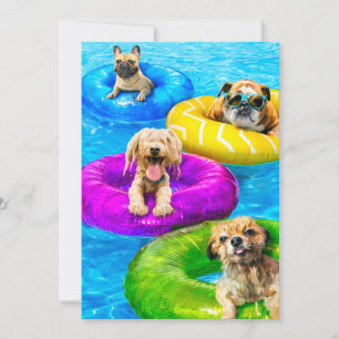 Hond Zwembad Feestje Kaart