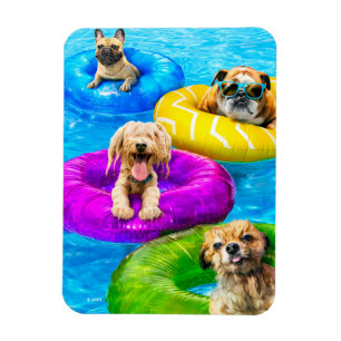 Hond Zwembad Feestje Magneet
