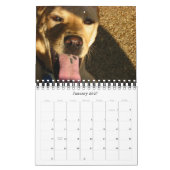 Honden 2009 kalender (Jan 2027)