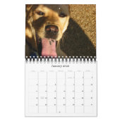Honden 2009 kalender (Jan 2026)