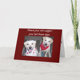 HONDEN AANMOEDIGEN HET GENEZEN KAART