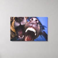 Honden blaffen