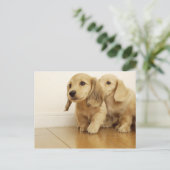 Honden Briefkaart (Staand voorkant)