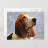 Honden Briefkaart (Voorkant / Achterkant)