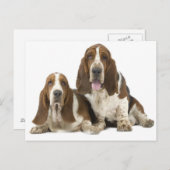 Honden Briefkaart (Voorkant / Achterkant)