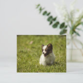 Honden Briefkaart (Staand voorkant)