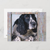 Honden Briefkaart (Voorkant / Achterkant)