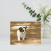 Honden Briefkaart (Staand voorkant)