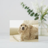 Honden Briefkaart (Staand voorkant)