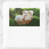 Honden, Coton de Tulear, Puppy's Rechthoekige Sticker (Tas)