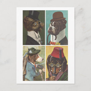  honden die Briefkaart dragen