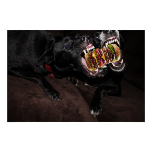 Honden die een enorme hamburger aanvallen. perfect poster