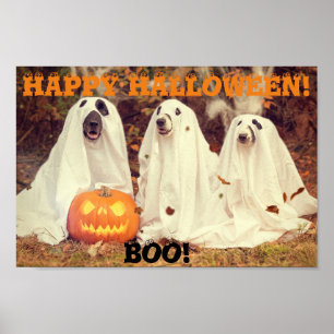 HONDEN DIE GHOST-KOSTEN HALLOWEEN-POSTER BEKIJKEN POSTER