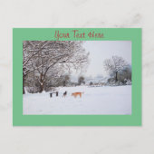 honden die in het winterlandschap van de sneeuwscè briefkaart (Voorkant)