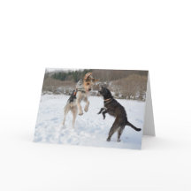 Honden die pret in sneeuwKerstmis hebben